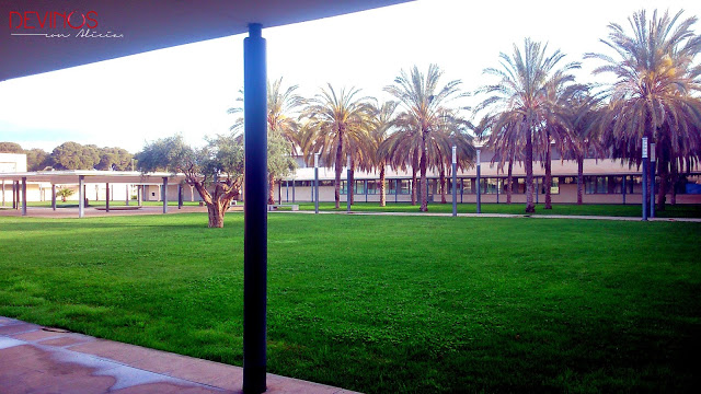 Jardín del campus de la Escuela de Hostelería y Turismo de Castellón. Fuente: Devinos con Alicia