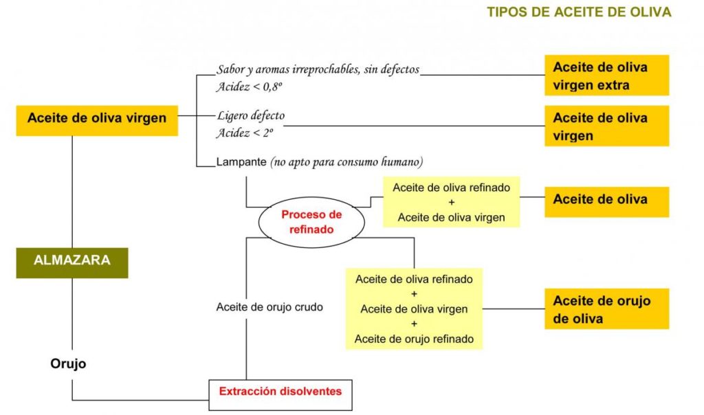 Esquema de las calidades del aceite de oliva devinos con alicia AOVE Aceite con sabor a Gloria