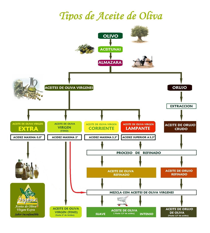 GRAFICO-TIPOS-DE-ACEITE-olivaDevinos con Alicia AOVE Aceite con Sabor a Gloria