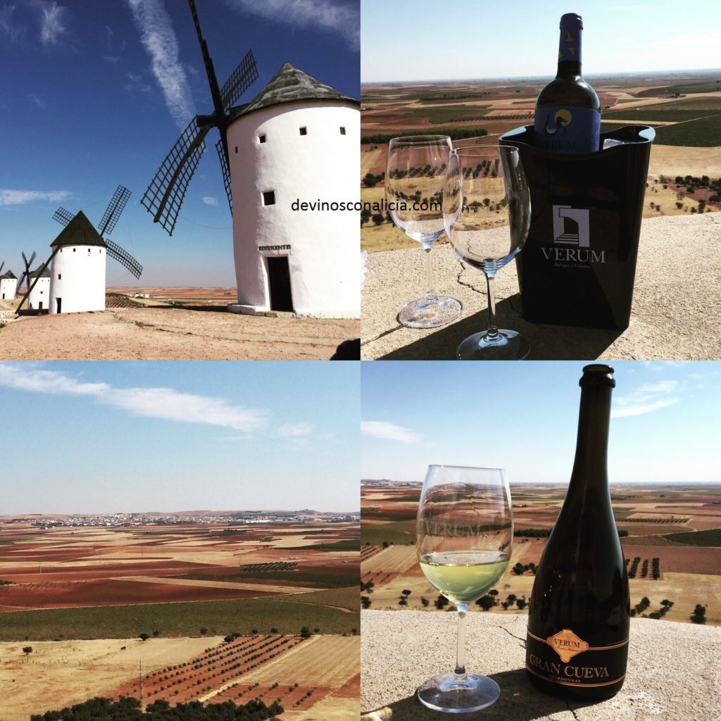 Previamente a la visita de Bodegas Verum. (De arriba a abajo) Malvasía 2015. Gran Cueva. Copyright: devinosconalicia.com