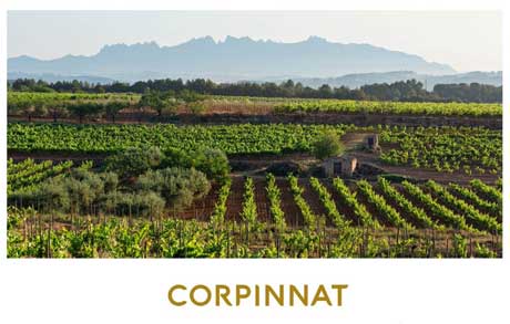 Corpinnat. Vía Tecnovino