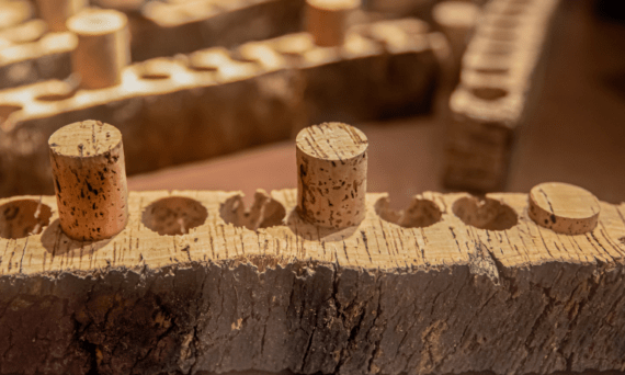 El tapon de corcho: Un vistazo al proceso de extracción de la corteza del alcornoque, fuente de este tapón emblemático para el vino. En esta imagen, se muestra con detalle la artesanía detrás de la obtención del corcho natural, destacando su papel fundamental como sellador tradicional en el mundo vinícola.