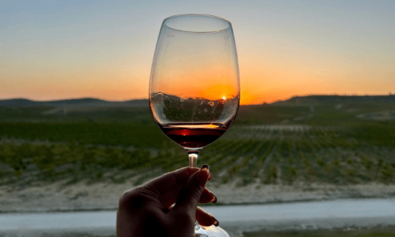 Disfruta de los colores y sabores de Navarra al atardecer. Sumérgete en la calidez de sus vinos mientras contemplas los viñedos bañados por la luz dorada del ocaso. Una experiencia única para los amantes de la buena vida.